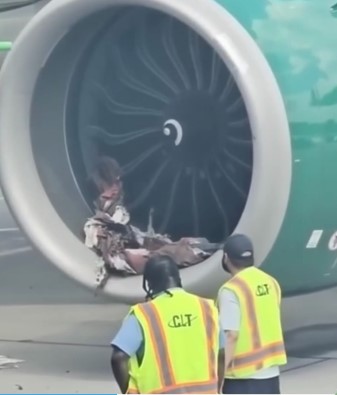 This forensic doctor took advantage of the situation without knowing that he…See more👇👇