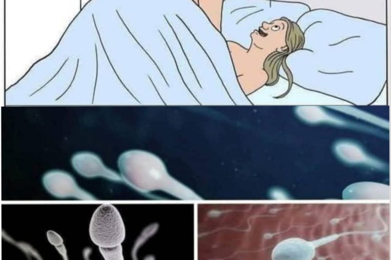 Many know! Studies reveal that swallowing your partner’s semen…See more